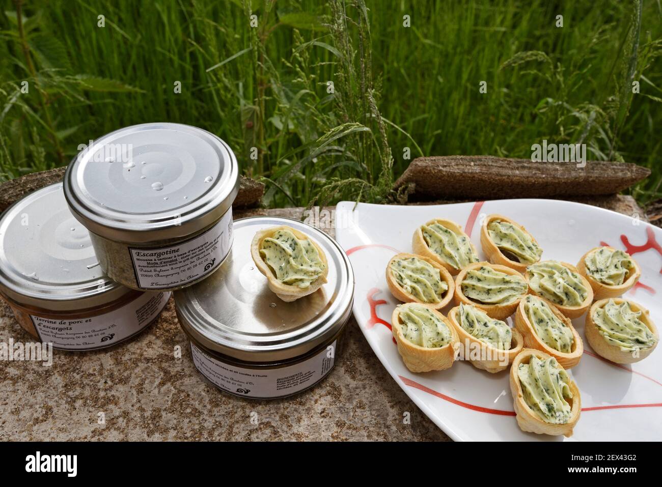 Gros gris snail helix aspersa maxima hires stock photography and