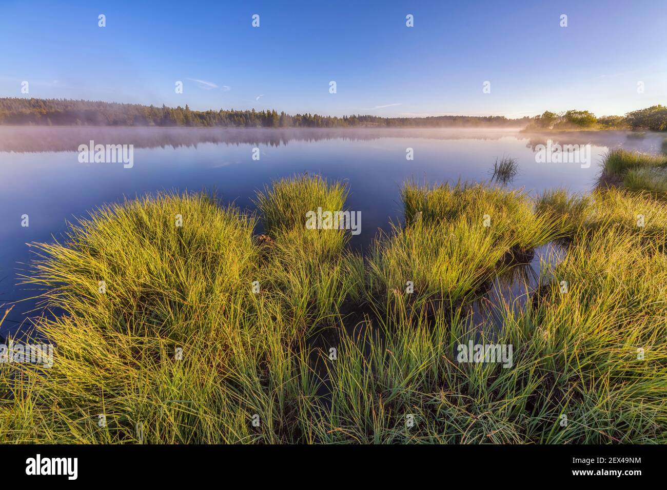 Lake Bellefontaine at dawn in summer in the Jura. Region of the