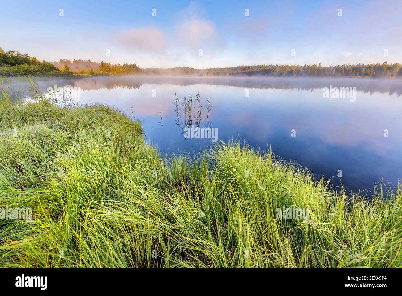 Lake Bellefontaine at dawn in summer in the Jura. Region of the