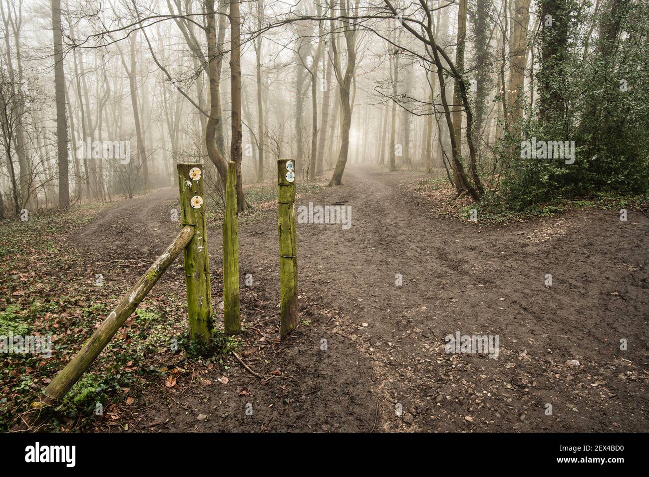 Foggy Chiltern Hills pathways with path signs between Little Chalfont and Latimer, England Stock Photo