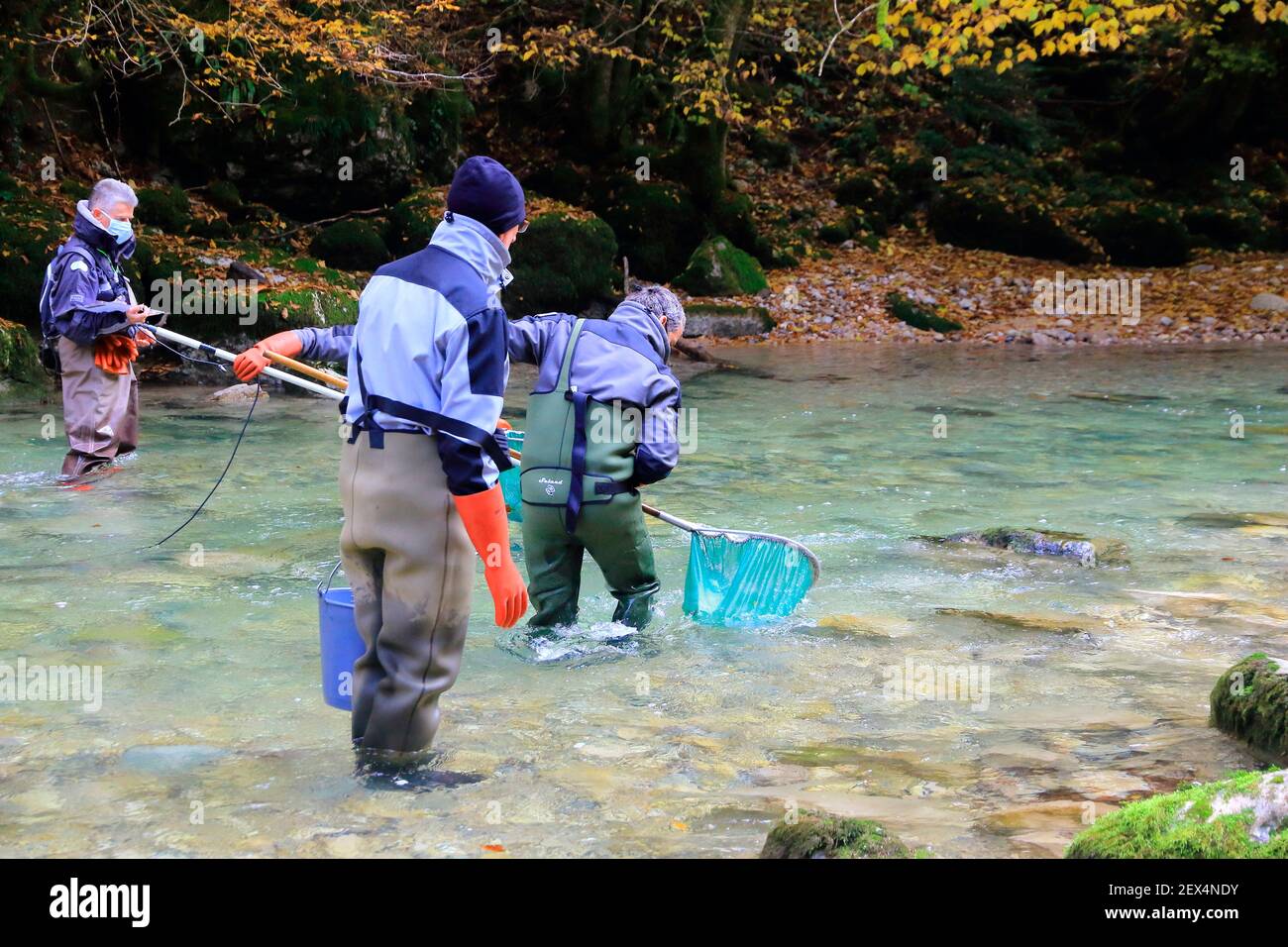 Electric fishing on the Guiers, labeled wild river, Parc Naturel Regional de Chartreuse, Alpes, France Stock Photo
