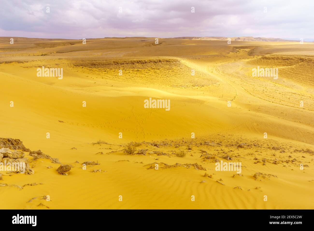 Desert landscape and sand dunes in the Uvda valley, the Negev desert, southern Israel Stock Photo