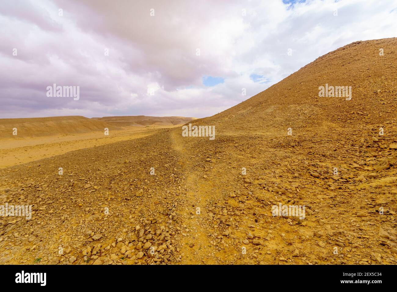 Desert landscape in the Uvda valley, the Negev desert, southern Israel Stock Photo