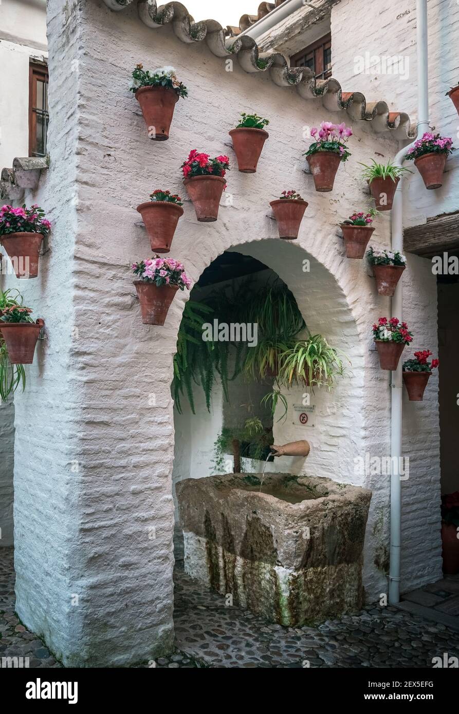 Traditional Andalusian patio, in Cordoba, Andalusia, Spain. Pots of colorful flowers on the white walls Stock Photo