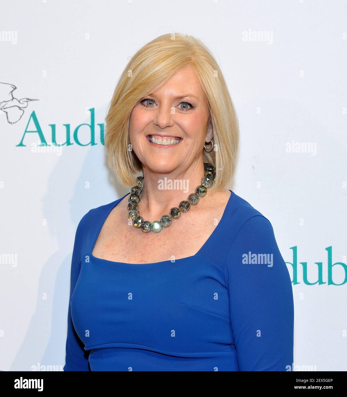 Journalist Anne Thompson attends the Audubon Society 2015 Women In