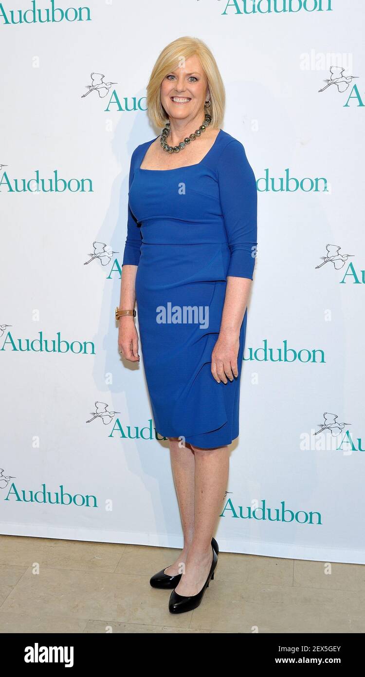 Journalist Anne Thompson attends the Audubon Society 2015 Women In