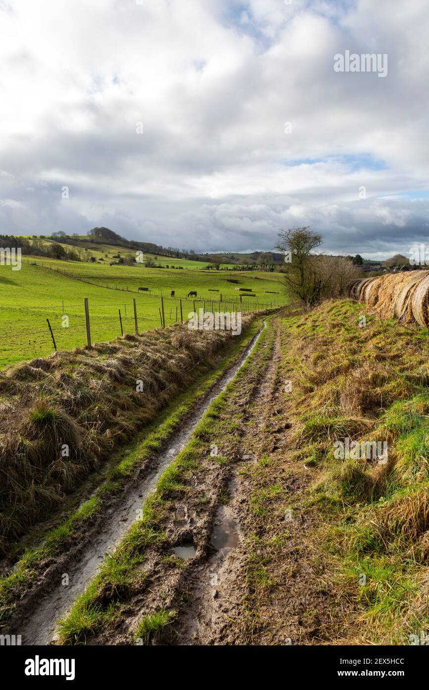 Muddy track former Roman road towards Heddington, Wiltshire, England, UK Stock Photo