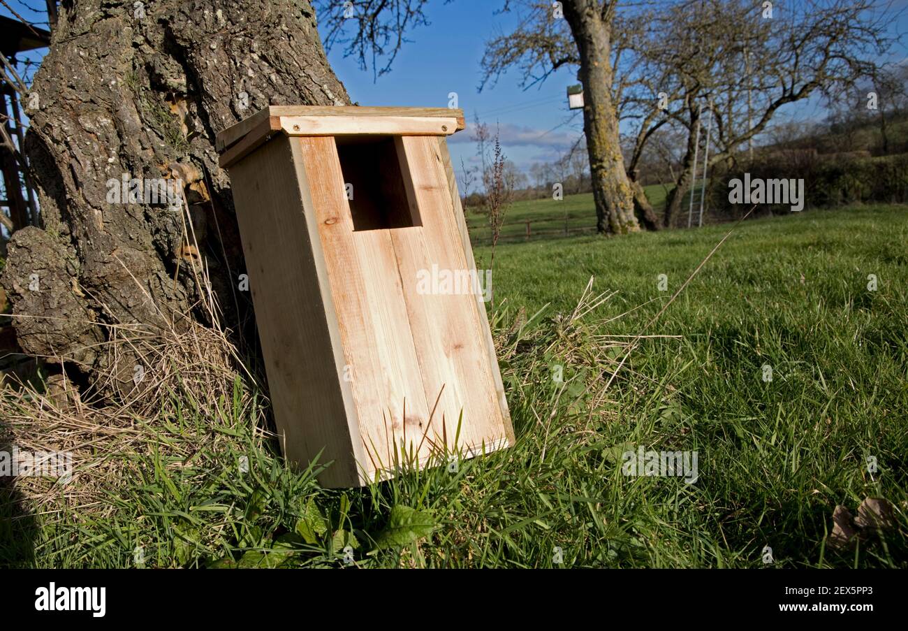 Nestbox for woodpecker, little owl or greater spotted woodpeckers made from recycled timber Stock Photo