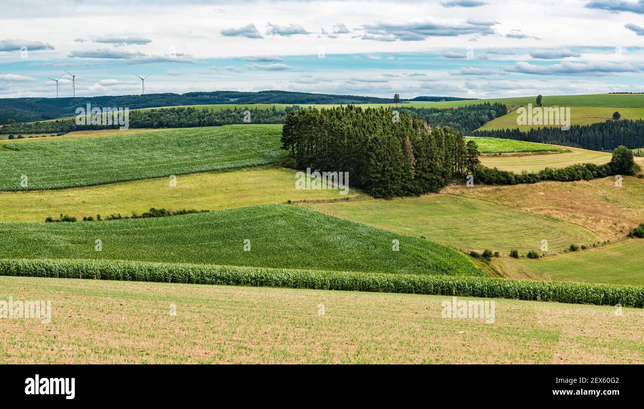 Green meadows and sown land at the Belgian countryside around Burg Reuland, East Belgium Stock Photo
