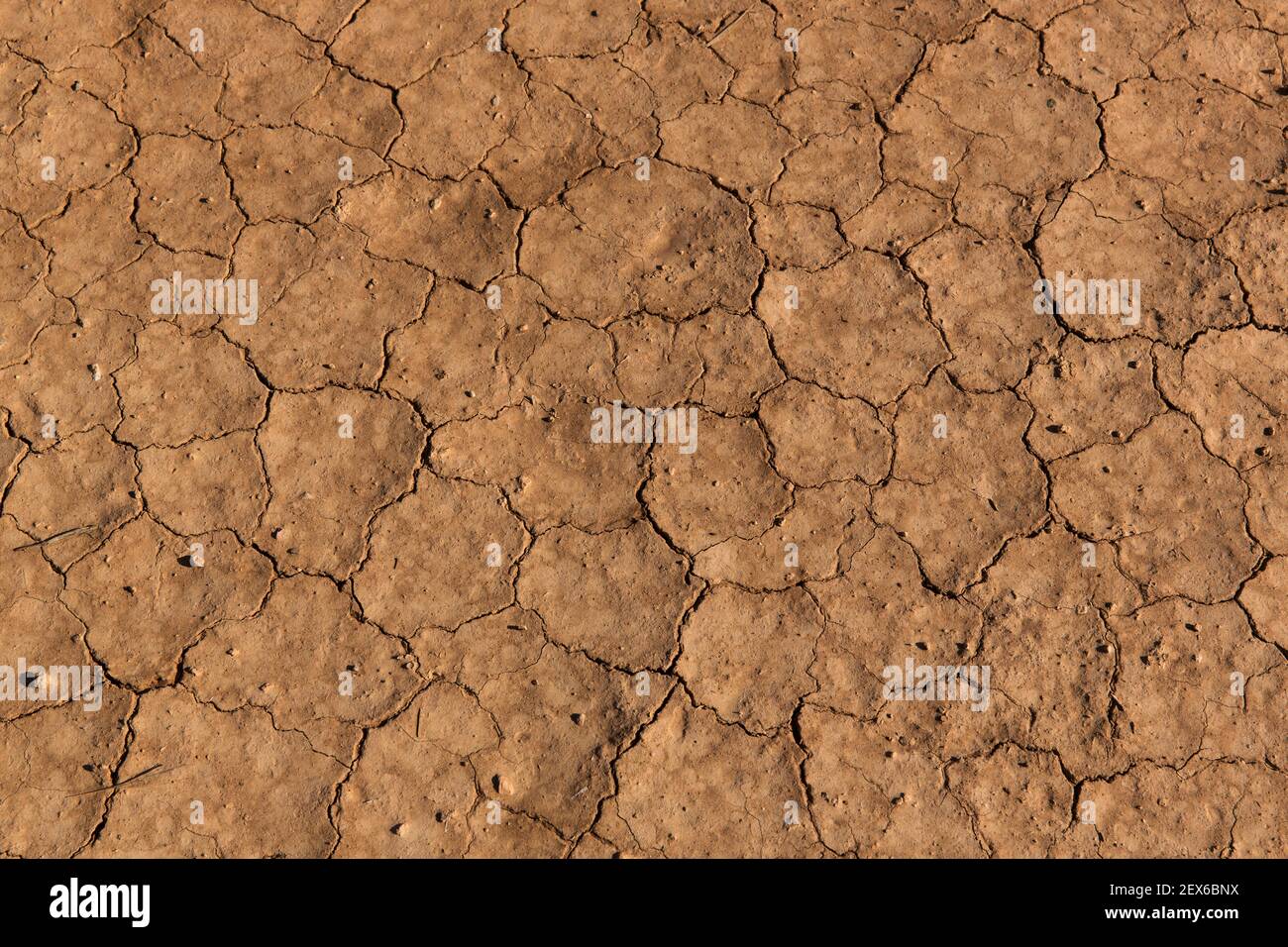 mud caked dry earth Stock Photo