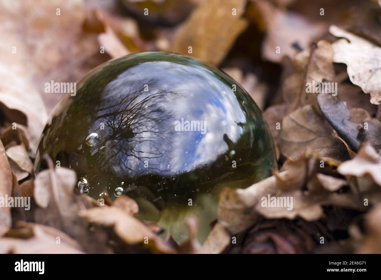 Magic bullet hi-res stock photography and images - Alamy