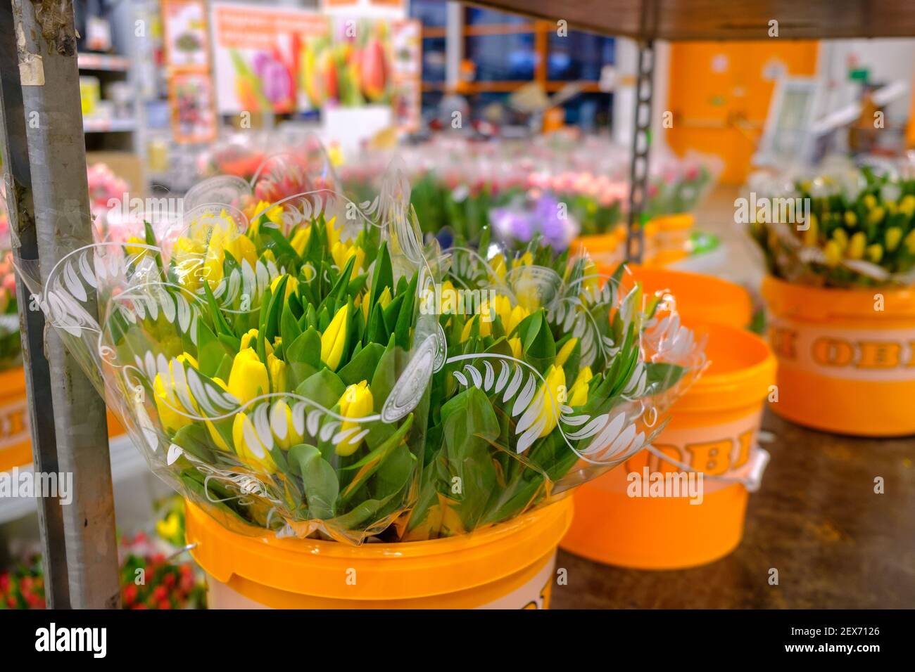 Spring Cellophane Cellophane Flowers Of Yellow And Green