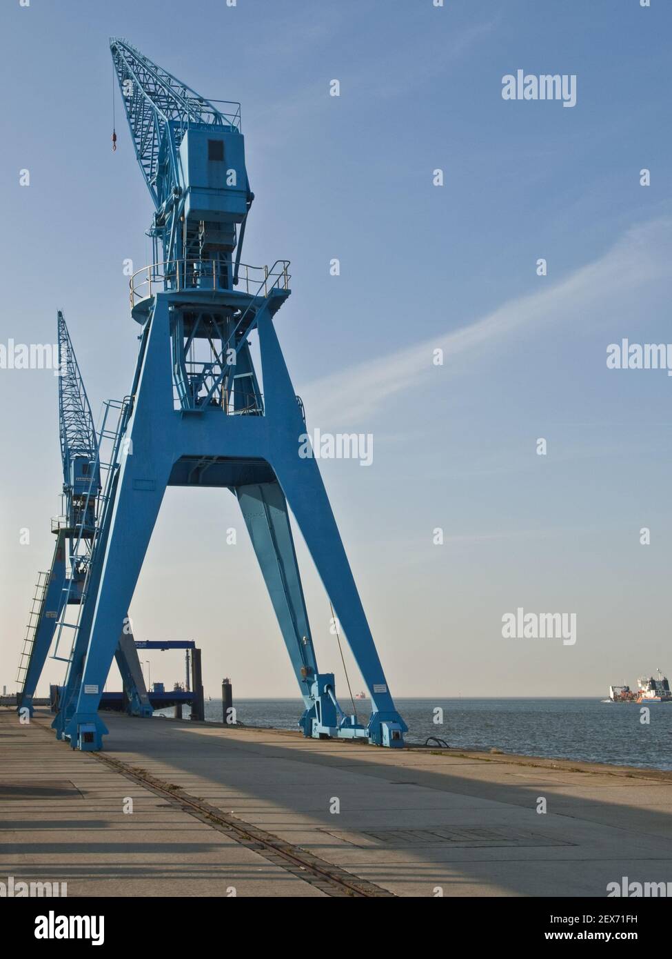 Cranes at Steubenhoeft, Germany Stock Photo