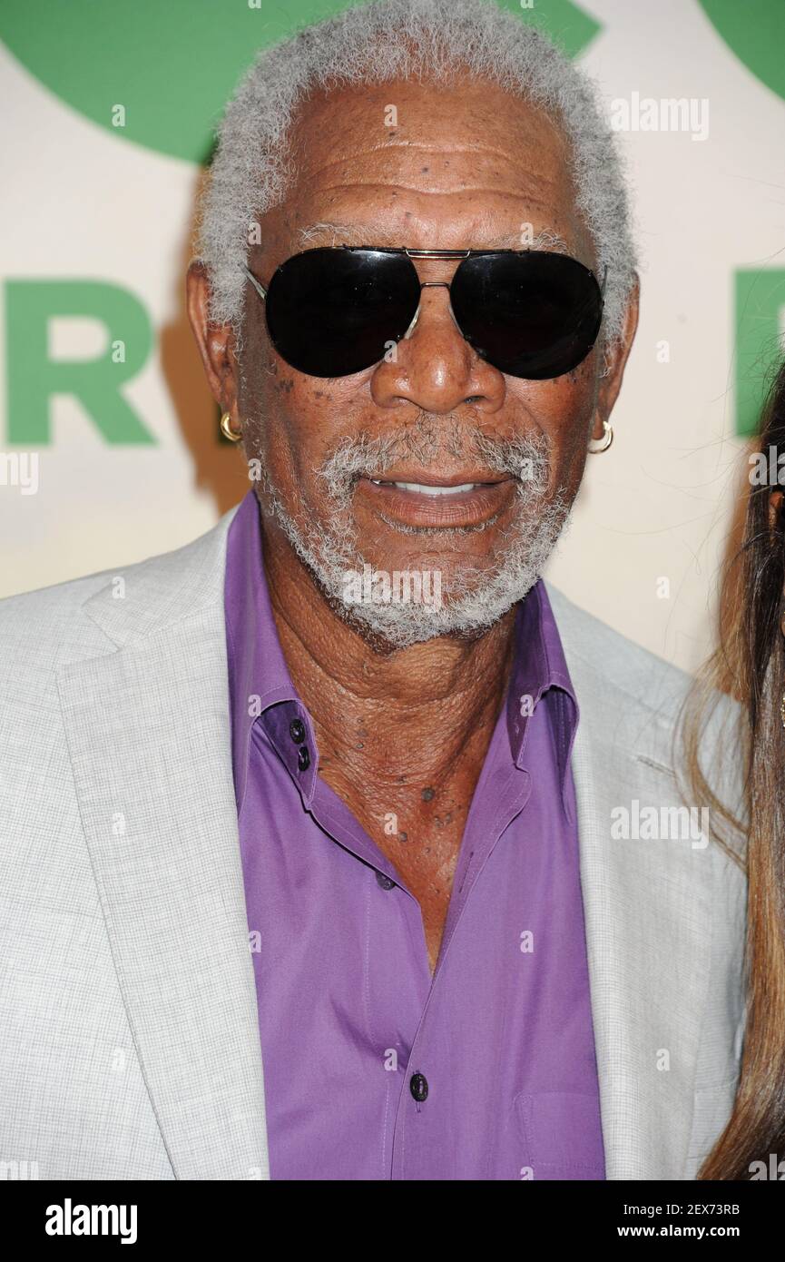 Morgan Freeman on the red carpet during the Ted 2 World Premiere, held