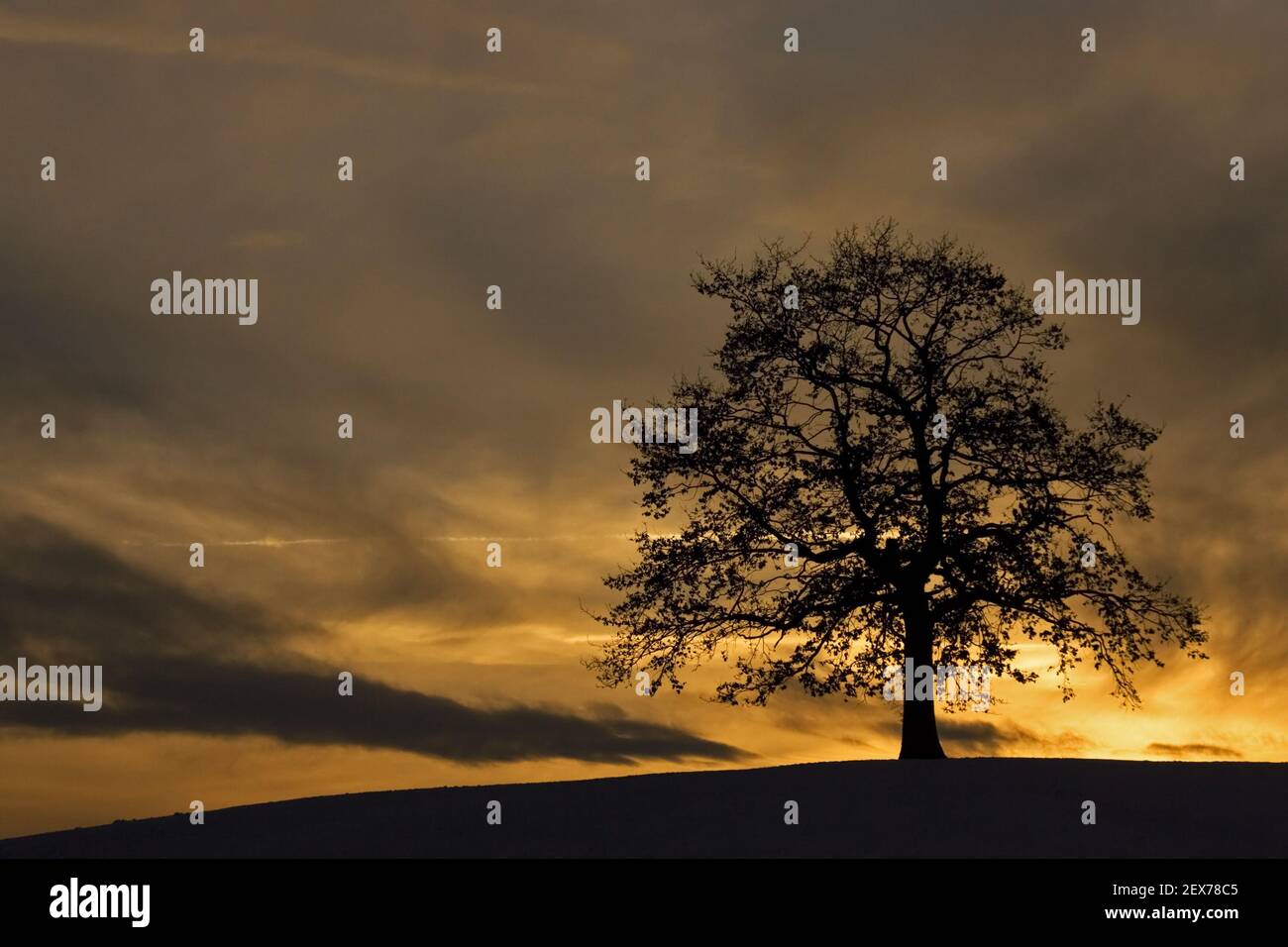 Atmospheric sunset in winter in bavaria, colourful sunset in bavaria, germany, winter Stock Photo