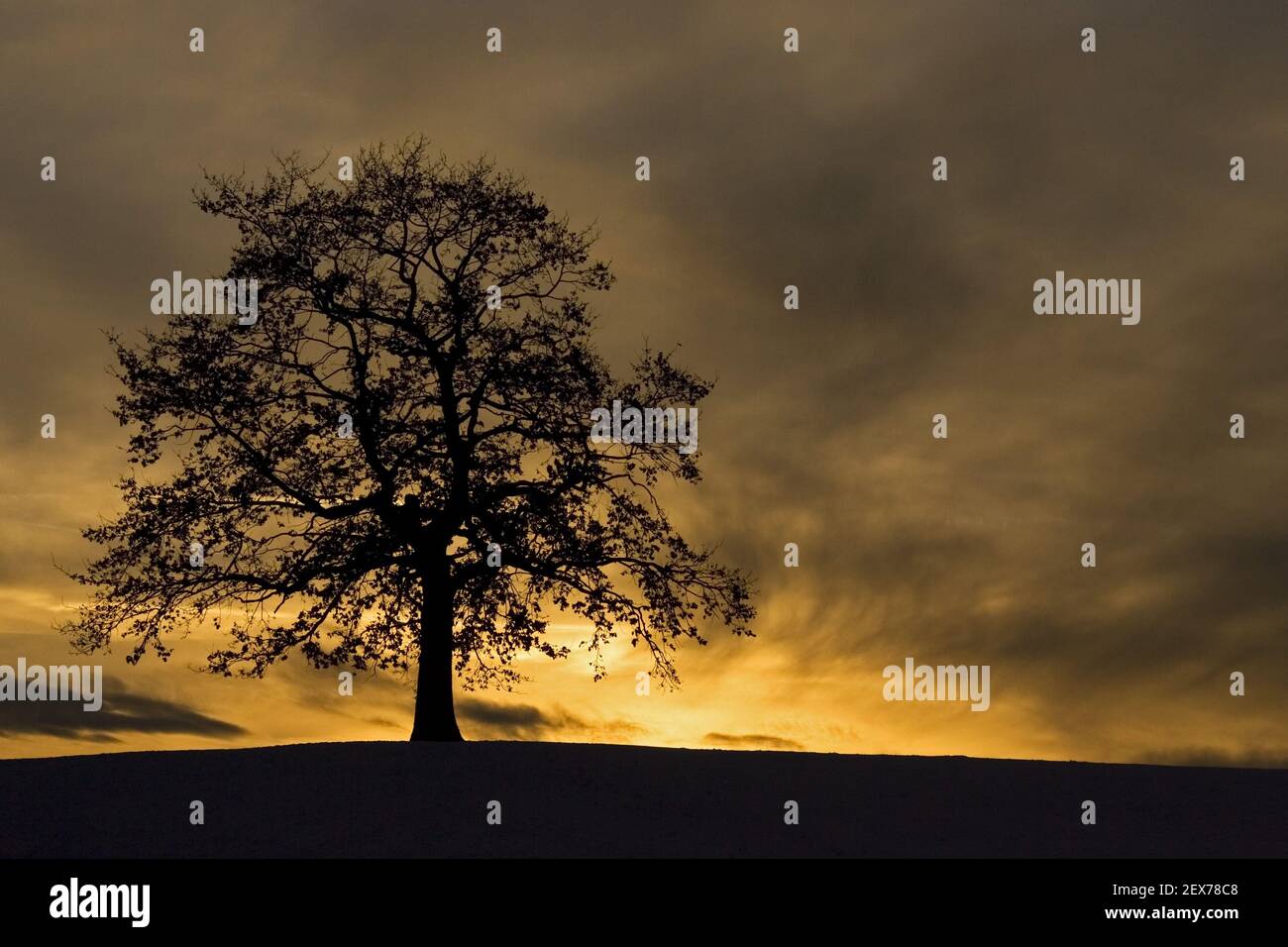 Atmospheric sunset in winter in bavaria, colourful sunset in bavaria, germany, winter Stock Photo