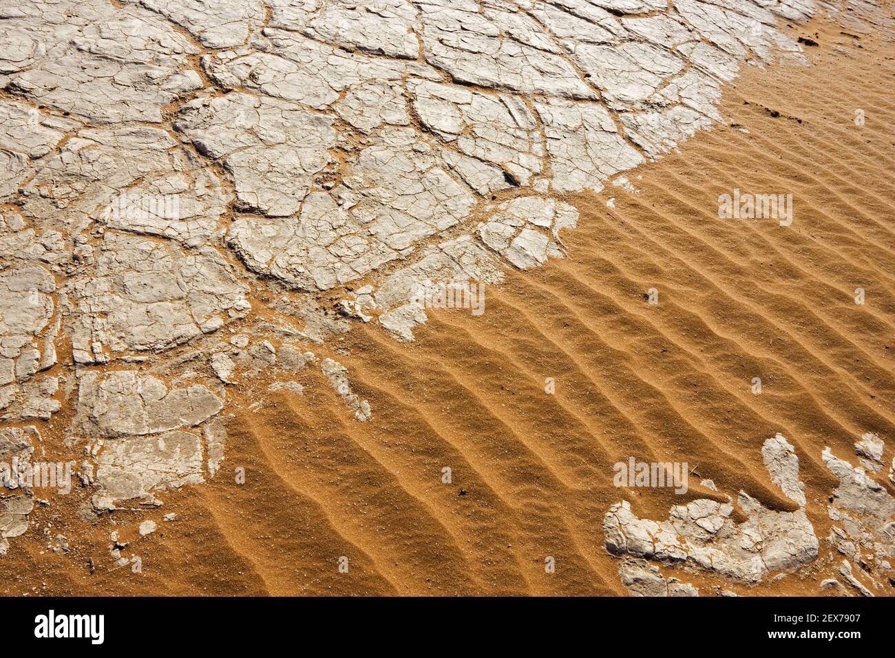 Sand and dried-out clay ground, Deadvlei, Namib Desert, Namibwueste, Namibia, Africa, sand and dried-out clay ground, Namib Dese Stock Photo