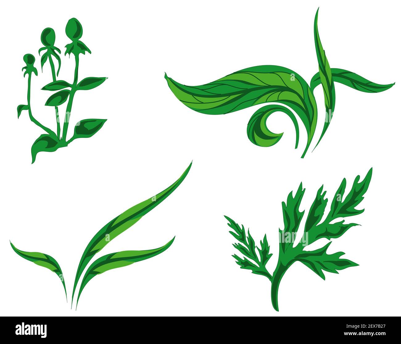 Kinds of plants Stock Photo - Alamy