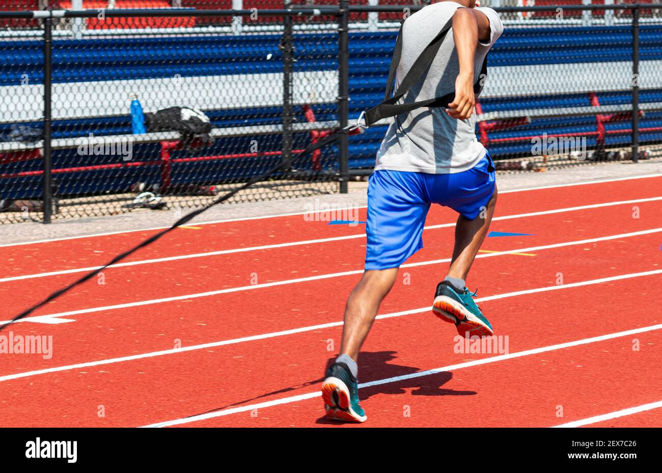 A high school male track and field runner is pulling a weighted sled on a red track for strength and resistance at practice on a sunny day. Stock Photo