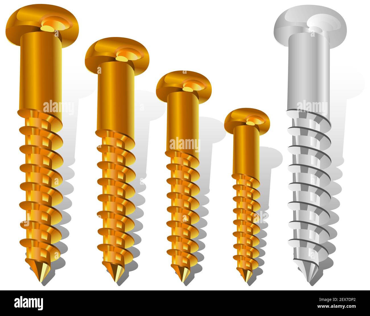 Different size screws Stock Photo