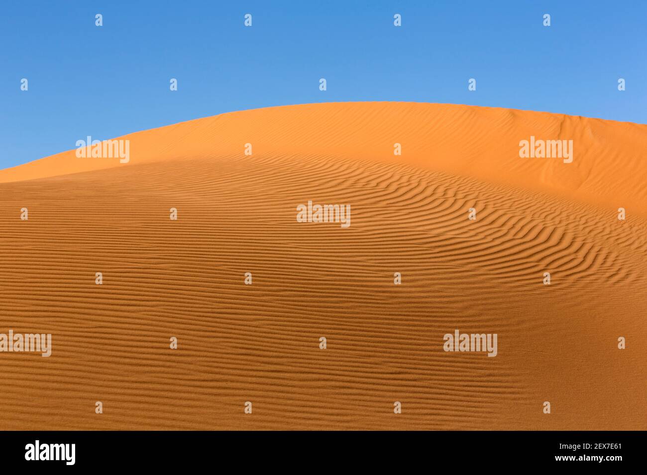 Morocco, Merzouga, the Erg Chebbi Dunes  at sunrise, the desert dunes extend 30km and reach heights of 250 meters Stock Photo