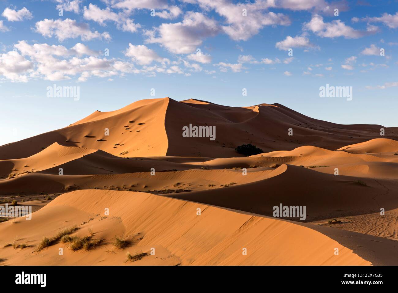 Morocco, Merzouga, the Erg Chebbi Dunes  at sunrise, the desert dunes extend 30km and reach heights of 250 meters Stock Photo
