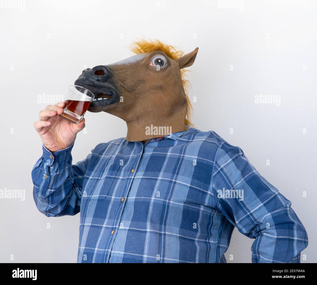man in a horse mask. horsey drinks cognac Stock Photo