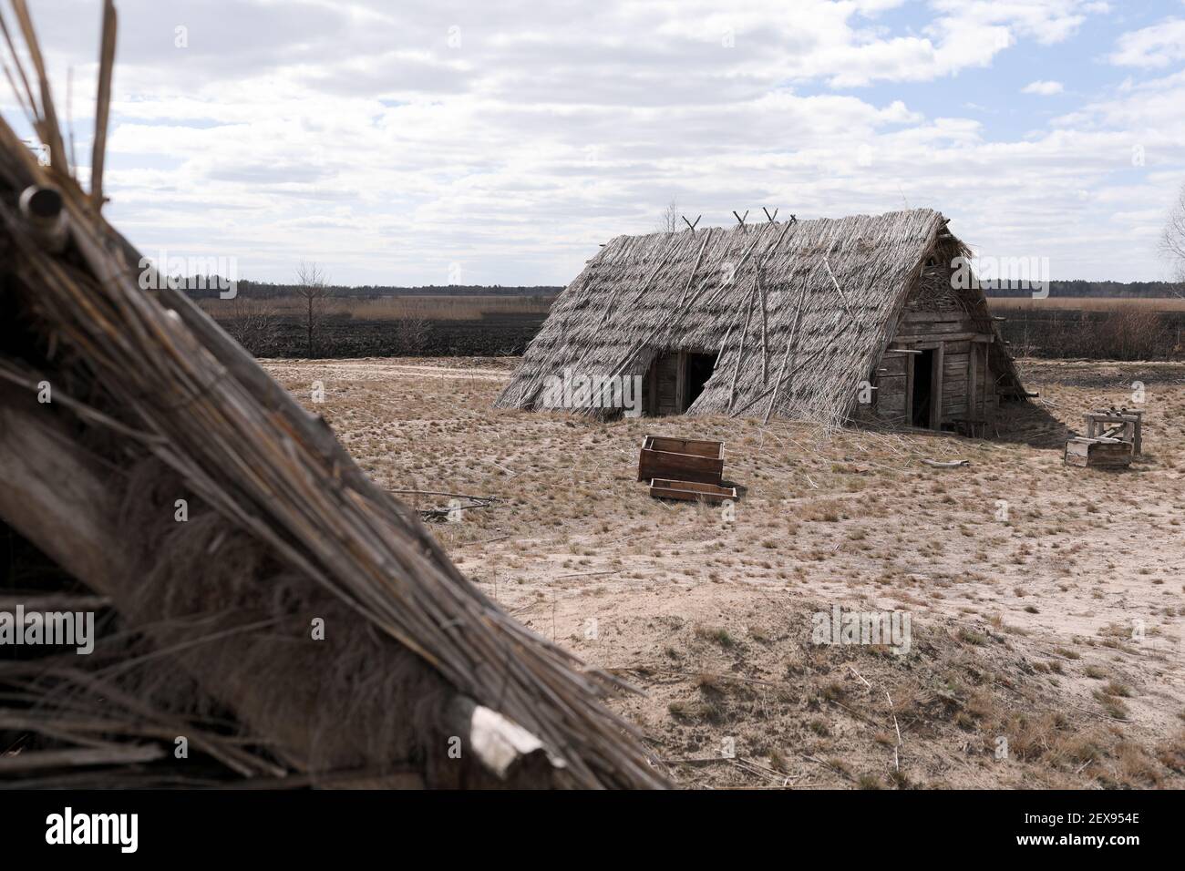 remnants of Ancient houses made from hollow logs with wooden and thatched roofs on the meadow. Stock Photo