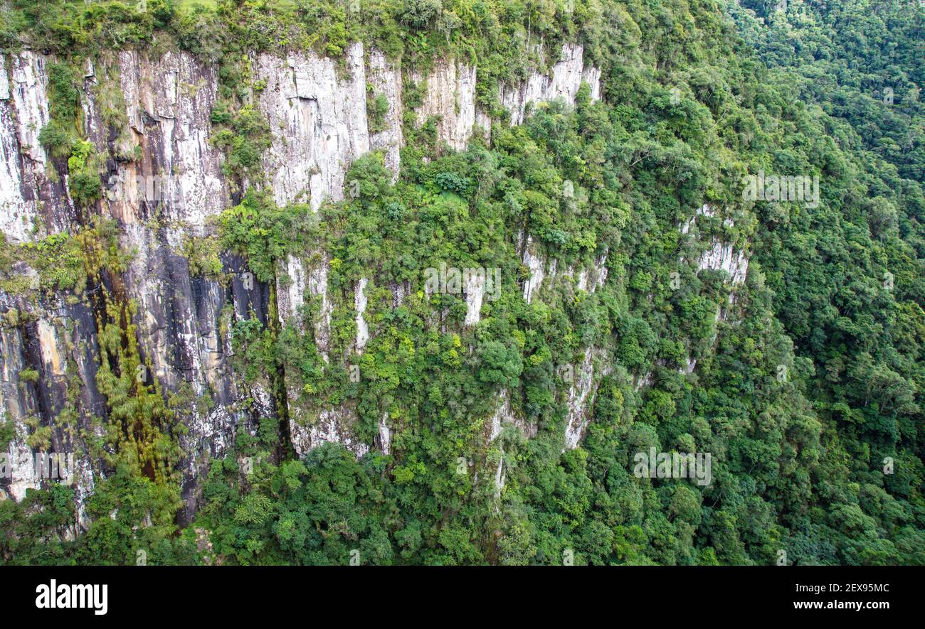 An aerial view of a beautiful valley covered by a green forest Stock ...
