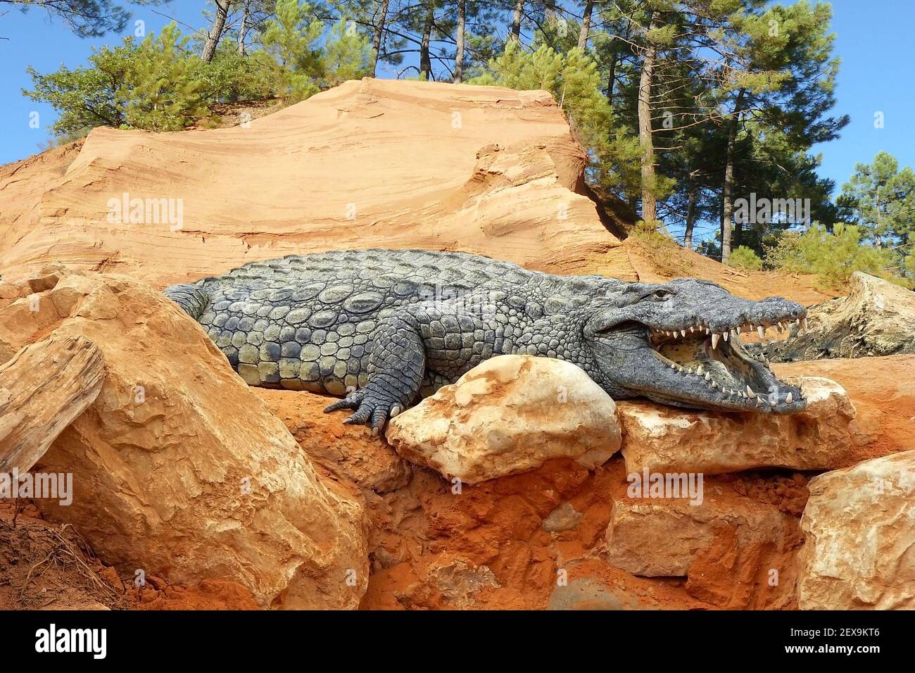 Alligator mountain hires stock photography and images Alamy
