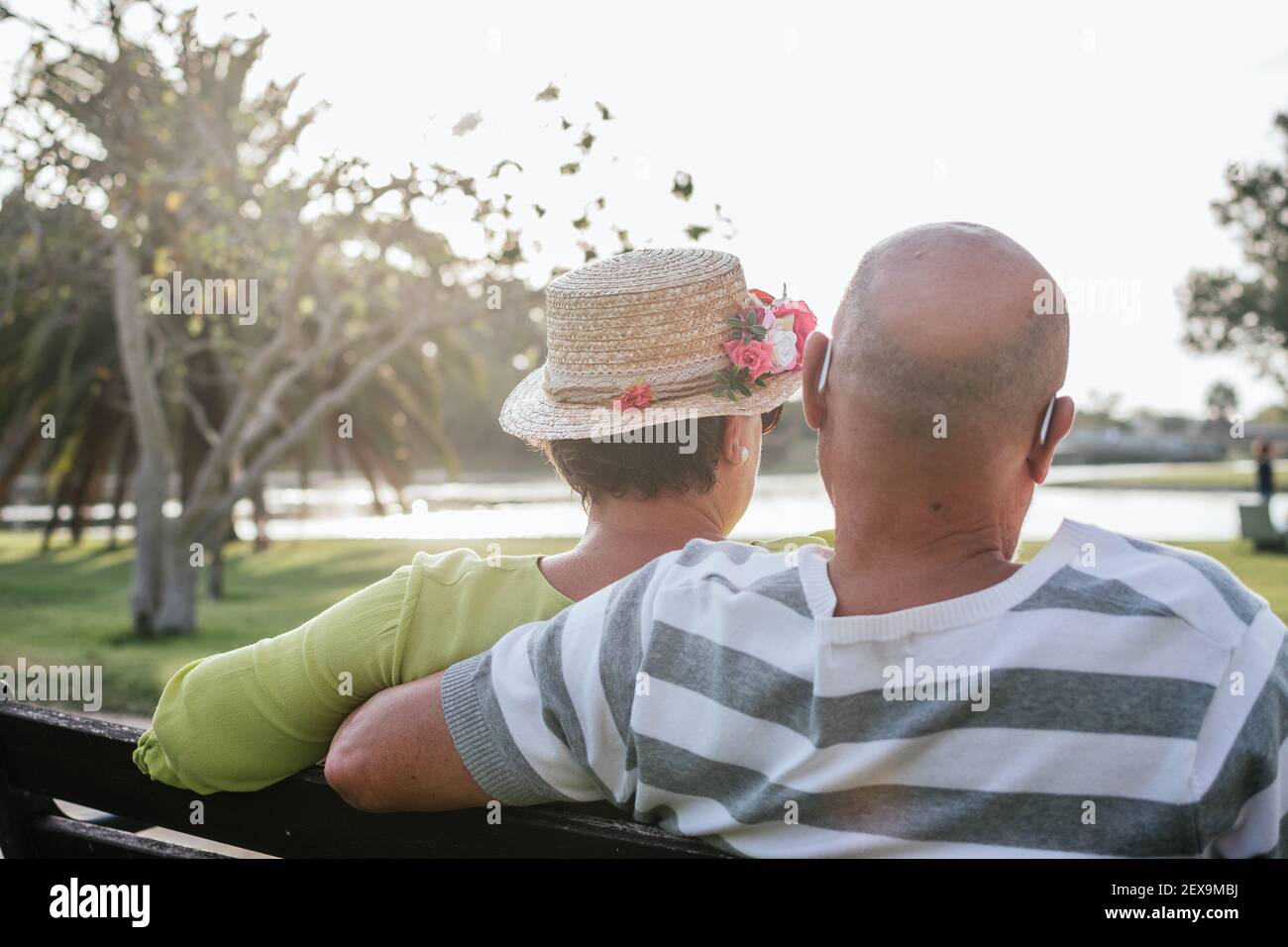 60 year old couple sitting on bench seen from behind Stock Photo