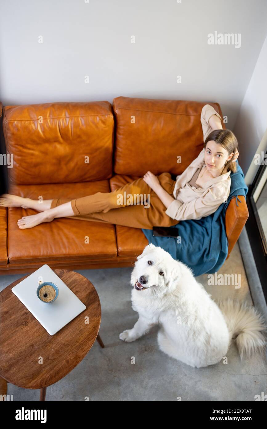 Why Does My Dog Sit On Top Of The Couch