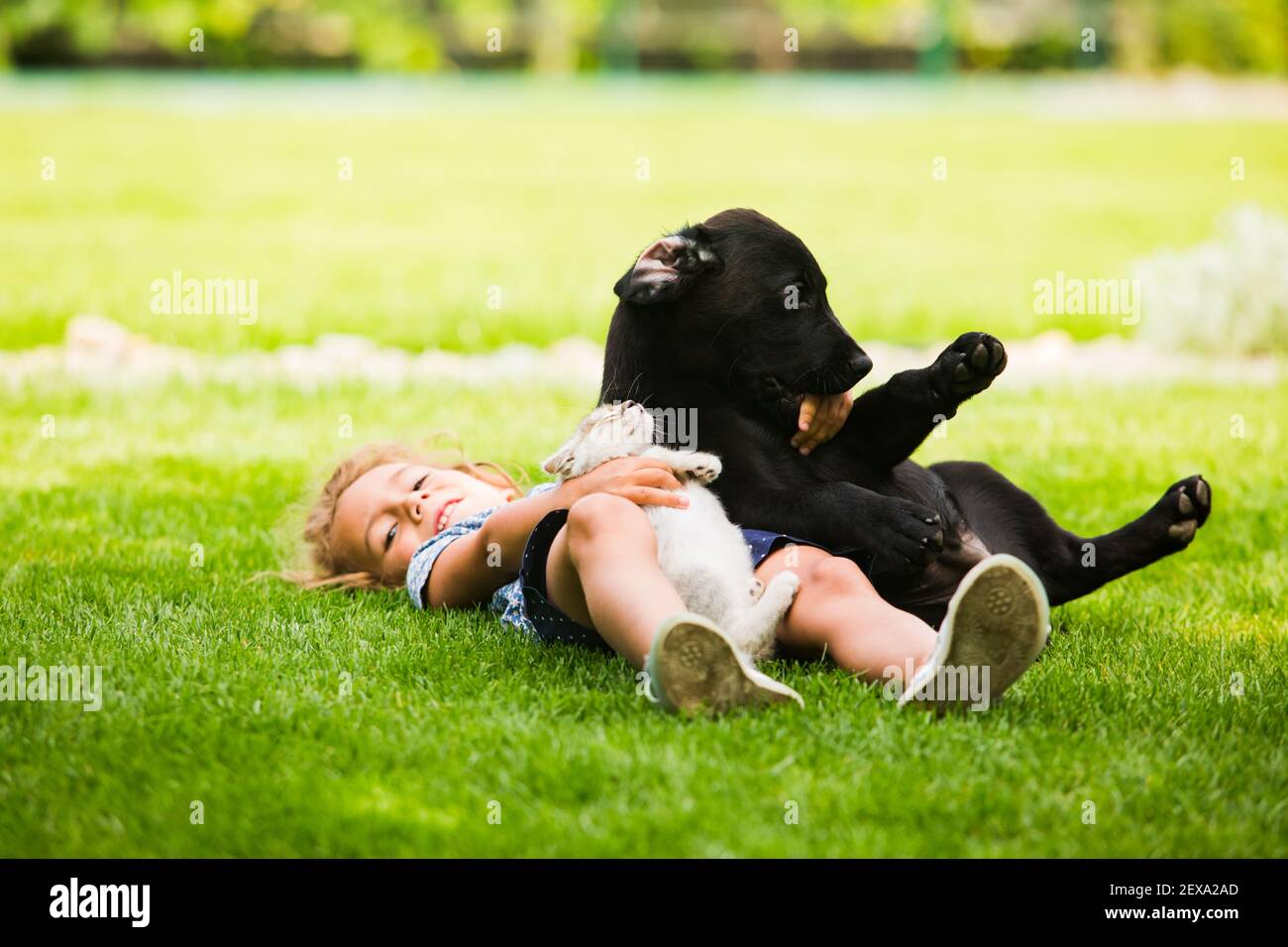 Girl lying on the grass embracing black puppy Stock Photo Alamy Girl lying on the grass embracing black puppy Stock Photo Alamy