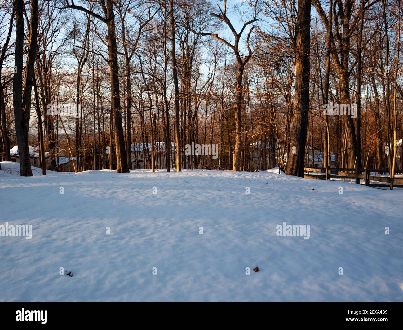 backyard covered with snow the day after the snow storm Stock Photo - Alamy