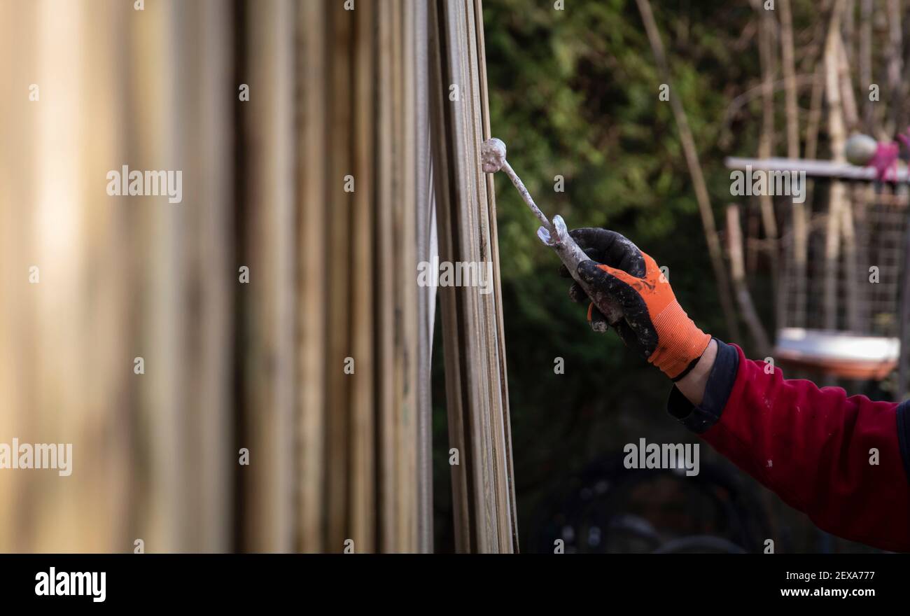 Worker painting wooden planks with a paint roller for house restoration Stock Photo