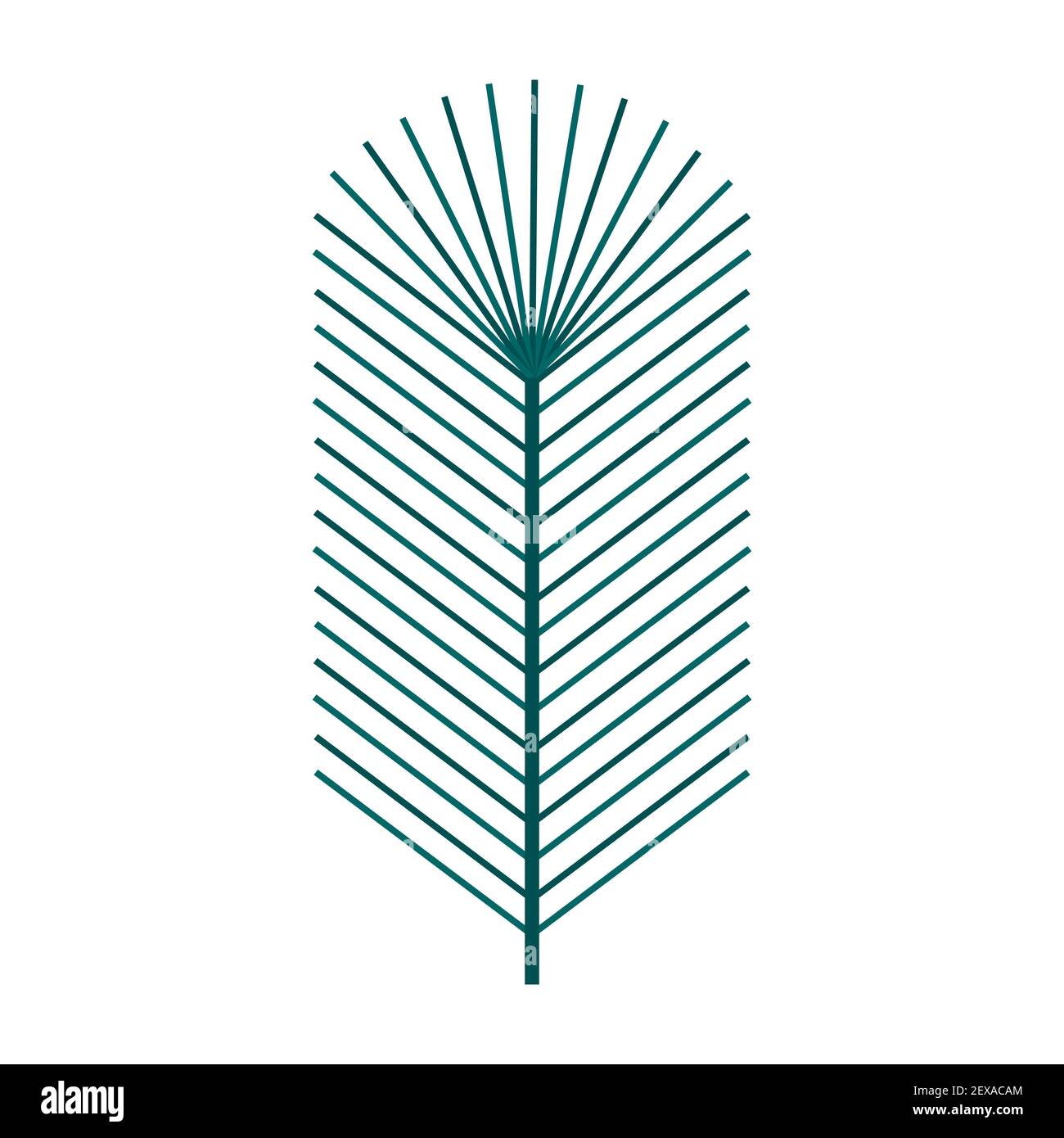 Simple minimalistic green branch of a spruce with needles. Floral collection of elegant plants for seasonal decoration. Stylized icons of botany. Stoc Stock Vector