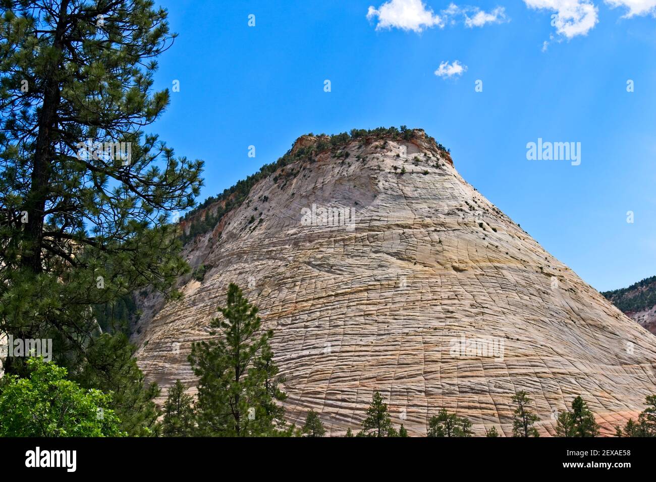 Checkerboard formation hi-res stock photography and images - Alamy