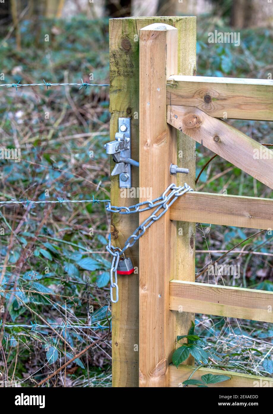 A padlock, chain and latch on a new wooden gate and gate post Stock