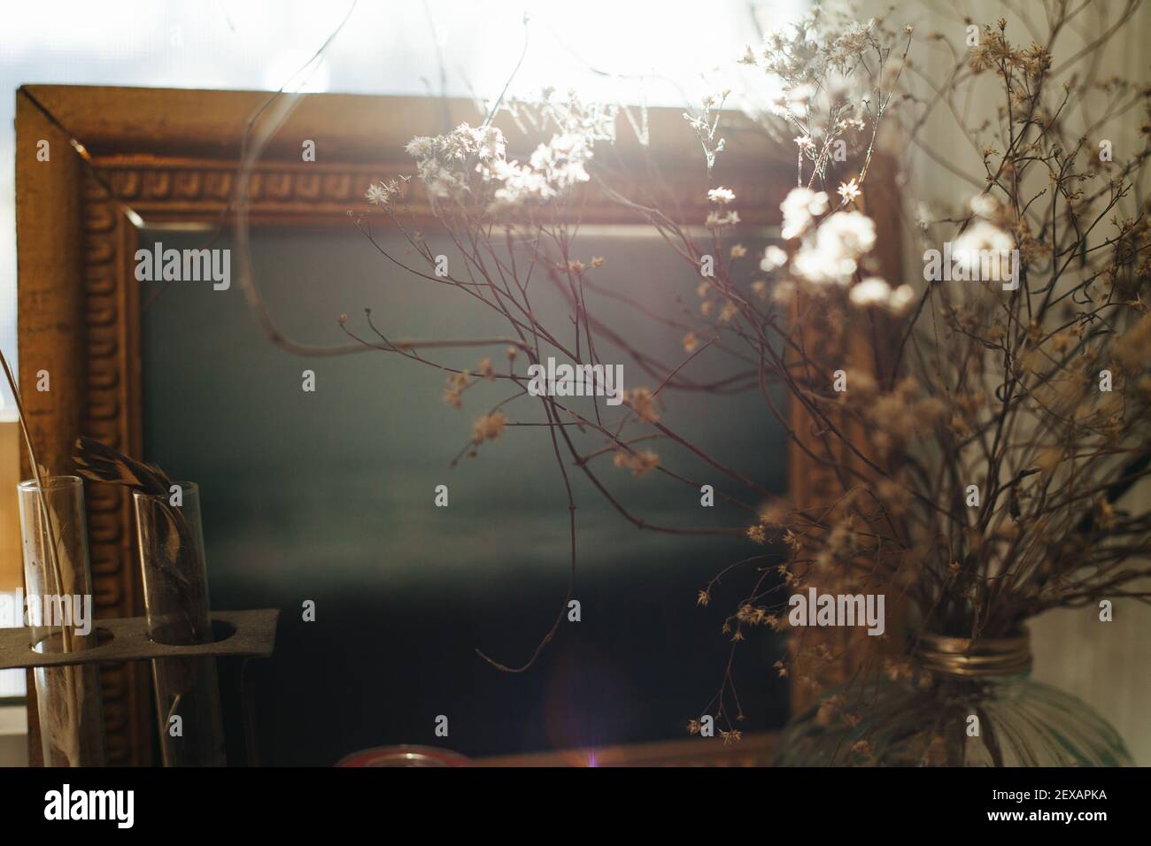 Dried Flowers and Feathers in a Still Life Stock Photo - Alamy
