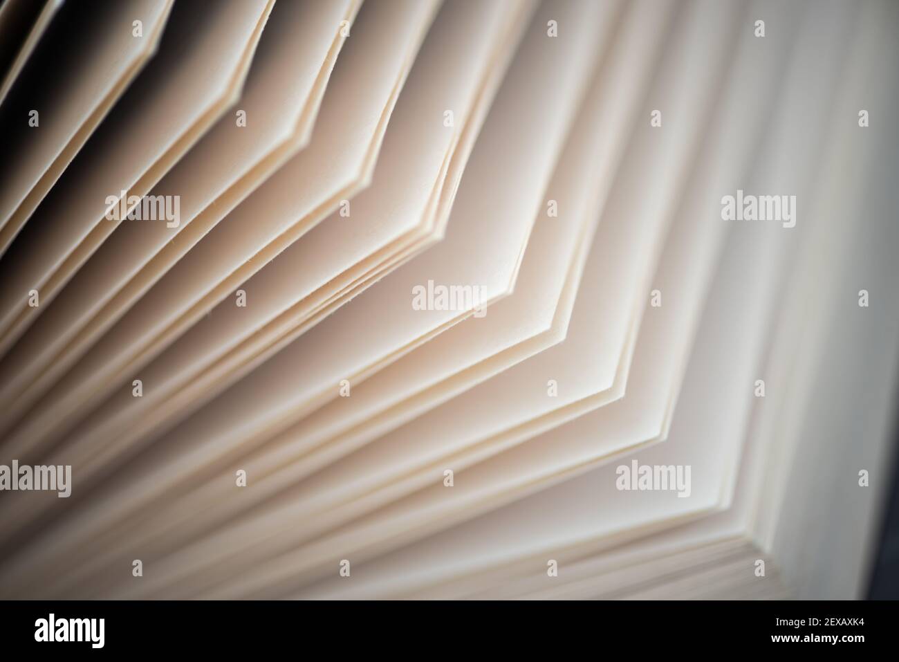 Turn over a new leaf Stock Photo Alamy Turn over a new leaf Stock Photo Alamy