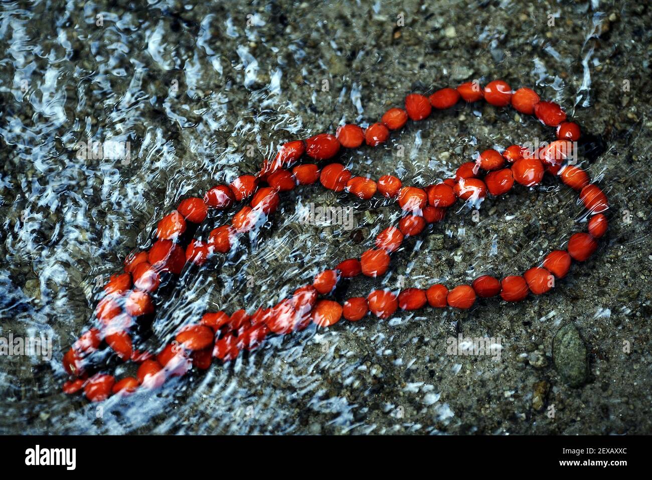 Peony seeds evil eye necklace in water Stock Photo