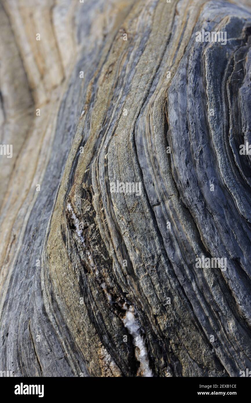 Rock strata background, Roseland Peninsula, Cornwall, UK Stock Photo