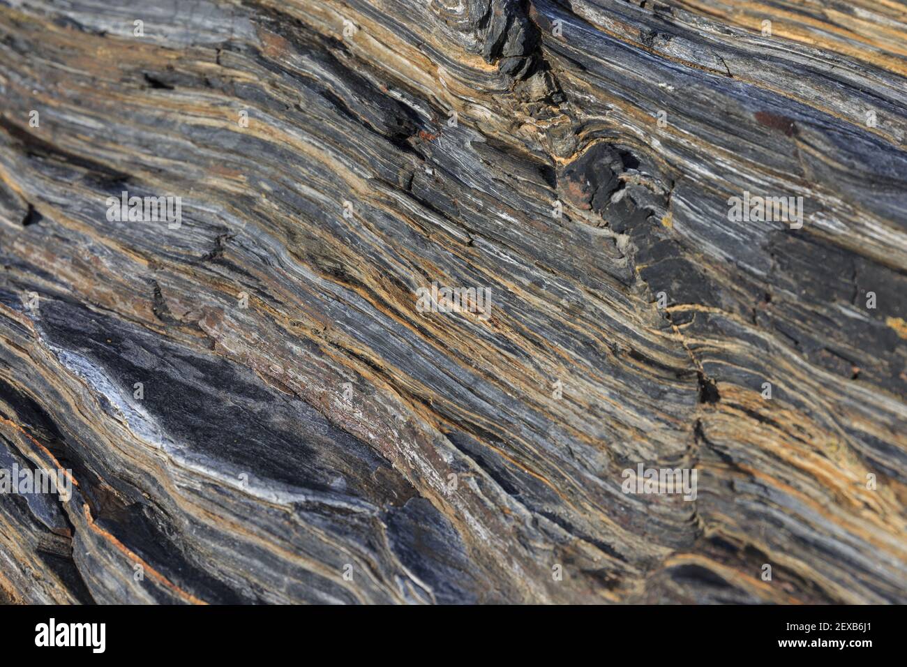 Rock strata background, Roseland Peninsula, Cornwall, UK Stock Photo