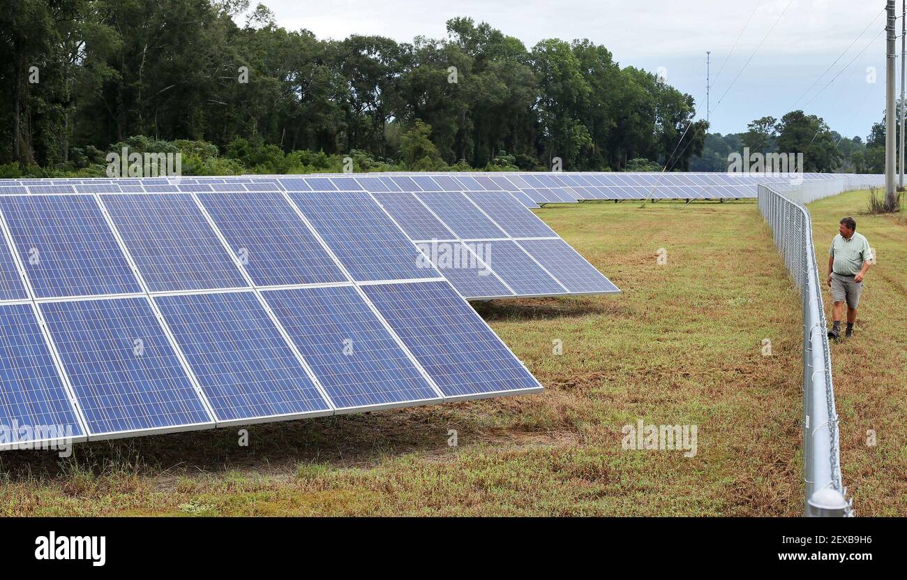 Farmer Donald Chase, right, leases land on his Oglethorpe, Ga., farm for solar farms. (Photo by