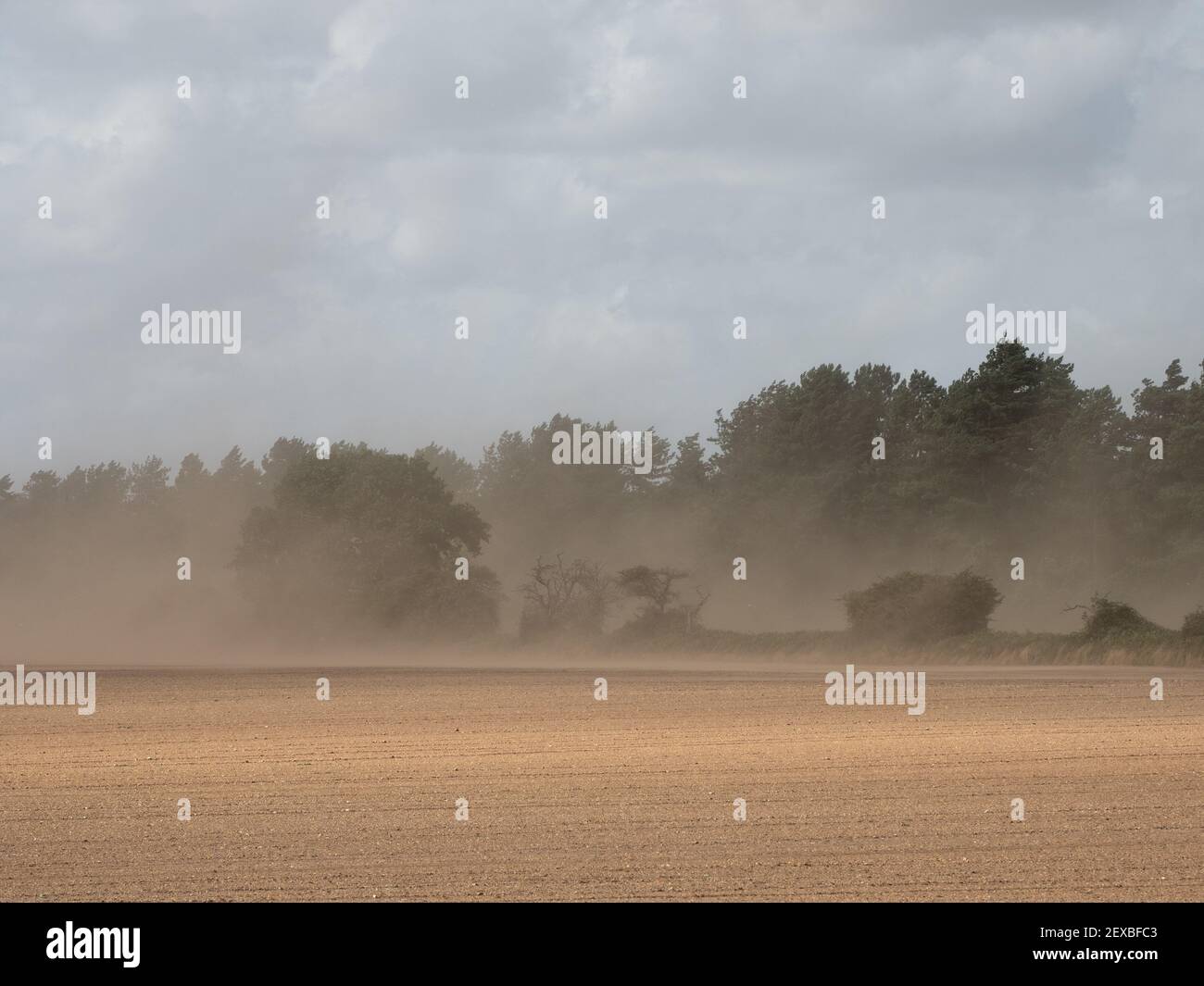 Top soil being blown away in a gale Stock Photo