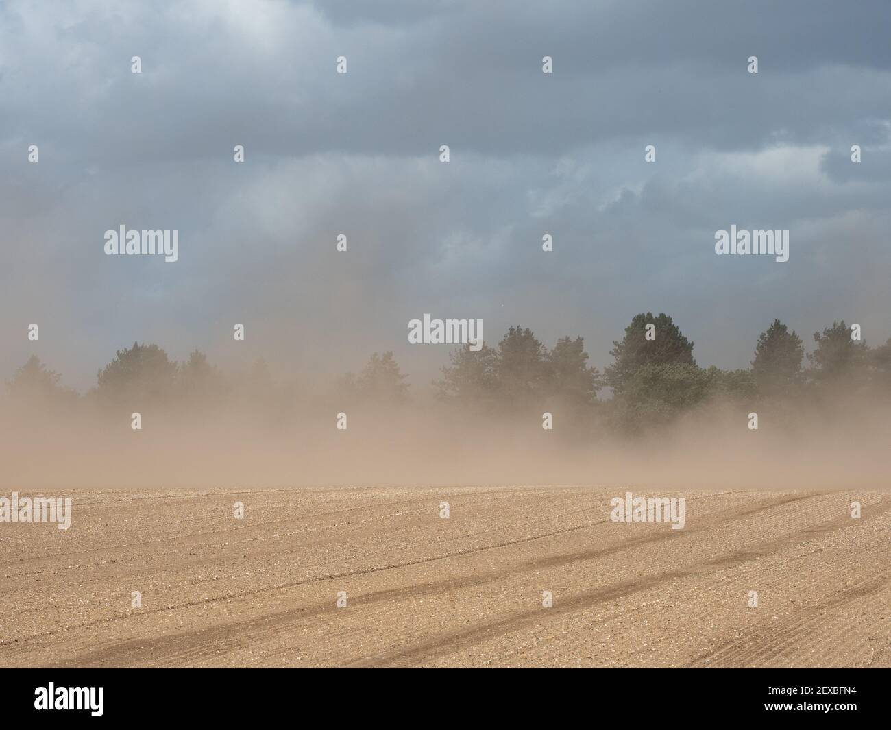 Top soil being blown away in a gale Stock Photo Alamy