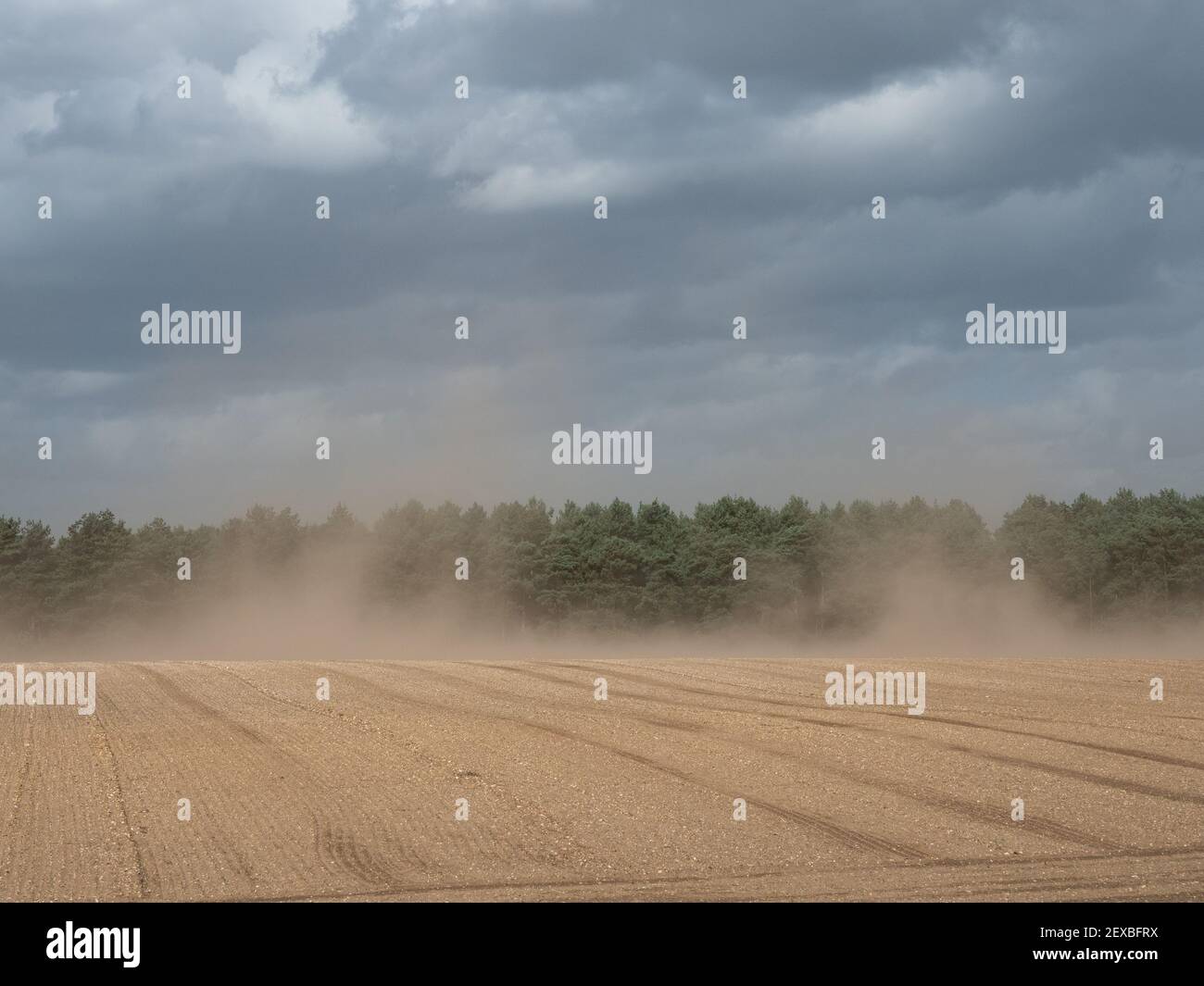 Blowing a gale hires stock photography and images Alamy