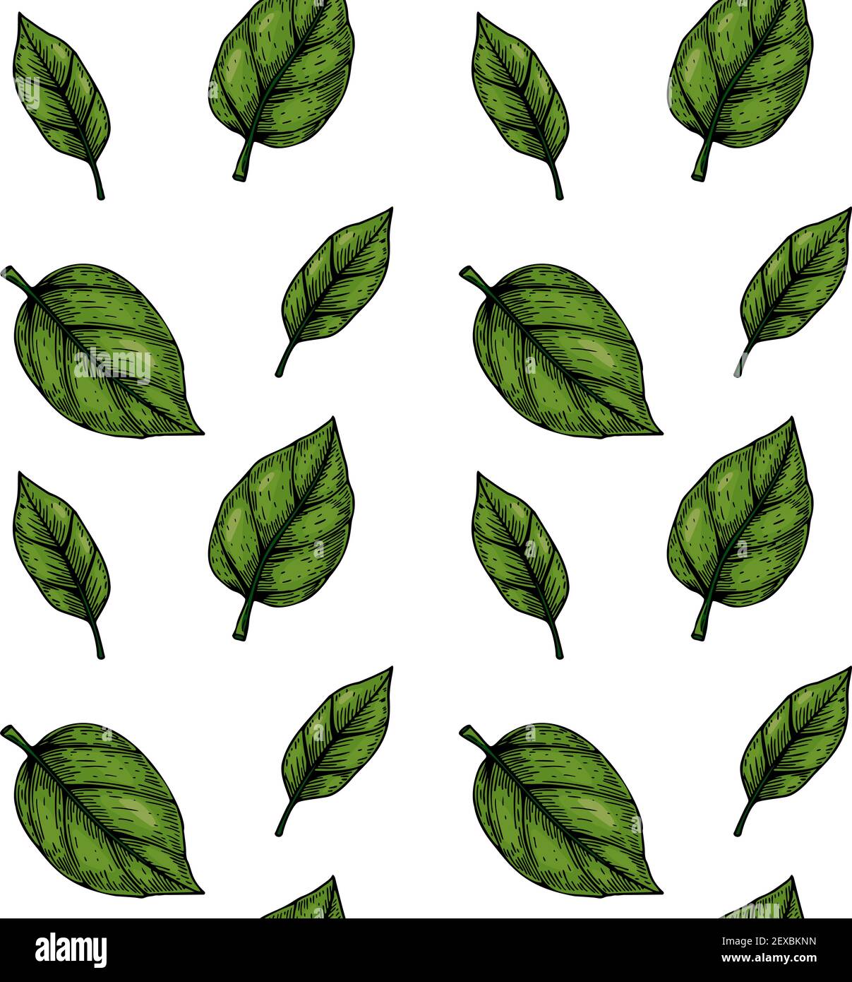 Hand drawn green leaves seamless pattern. Vector illustration Stock Vector
