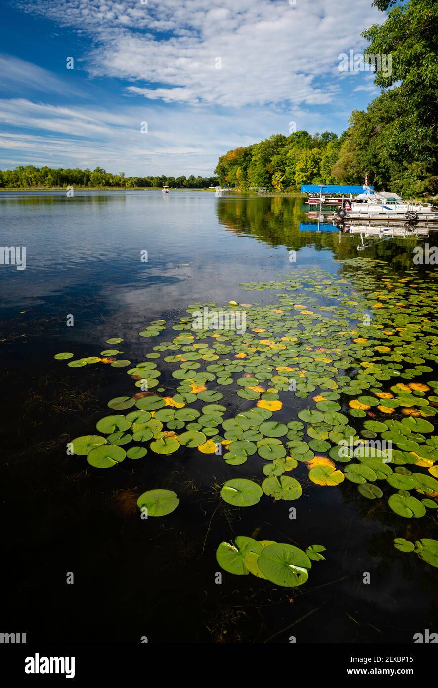A beautiful, late summer morning on McCann Lake, near Chetek, Wisconsin, USA. Stock Photo