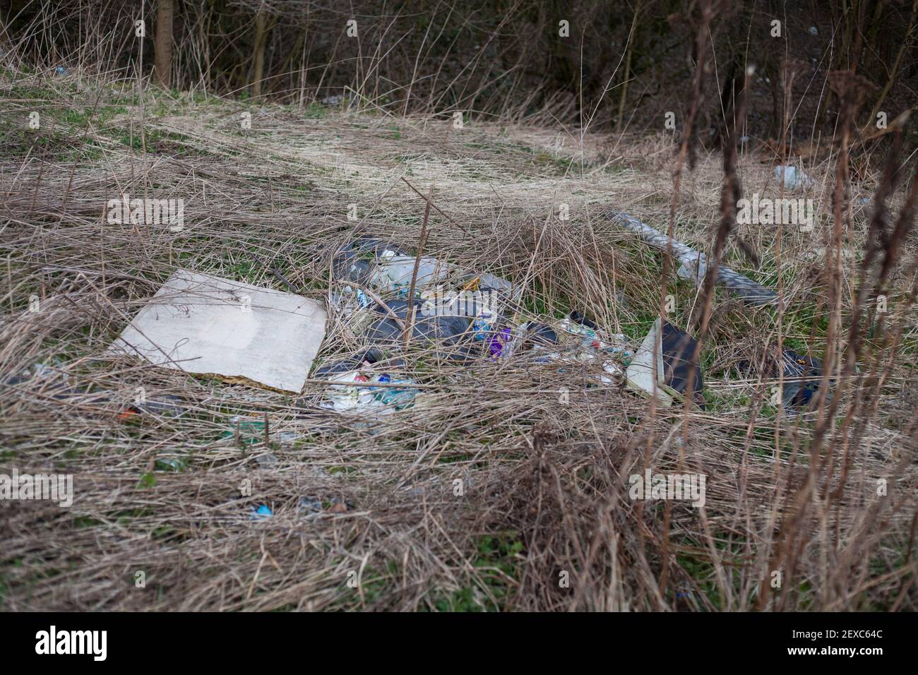 Fly tipped rubbish and household waste illegally dumped on the edge of local woodland.A common sight in more deprived areas of the UK. Stock Photo